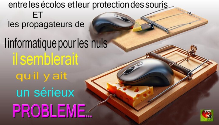 INFORMATIQUE ET ECOLOGIE