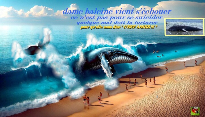 LA BALEINE EST A SAUVER